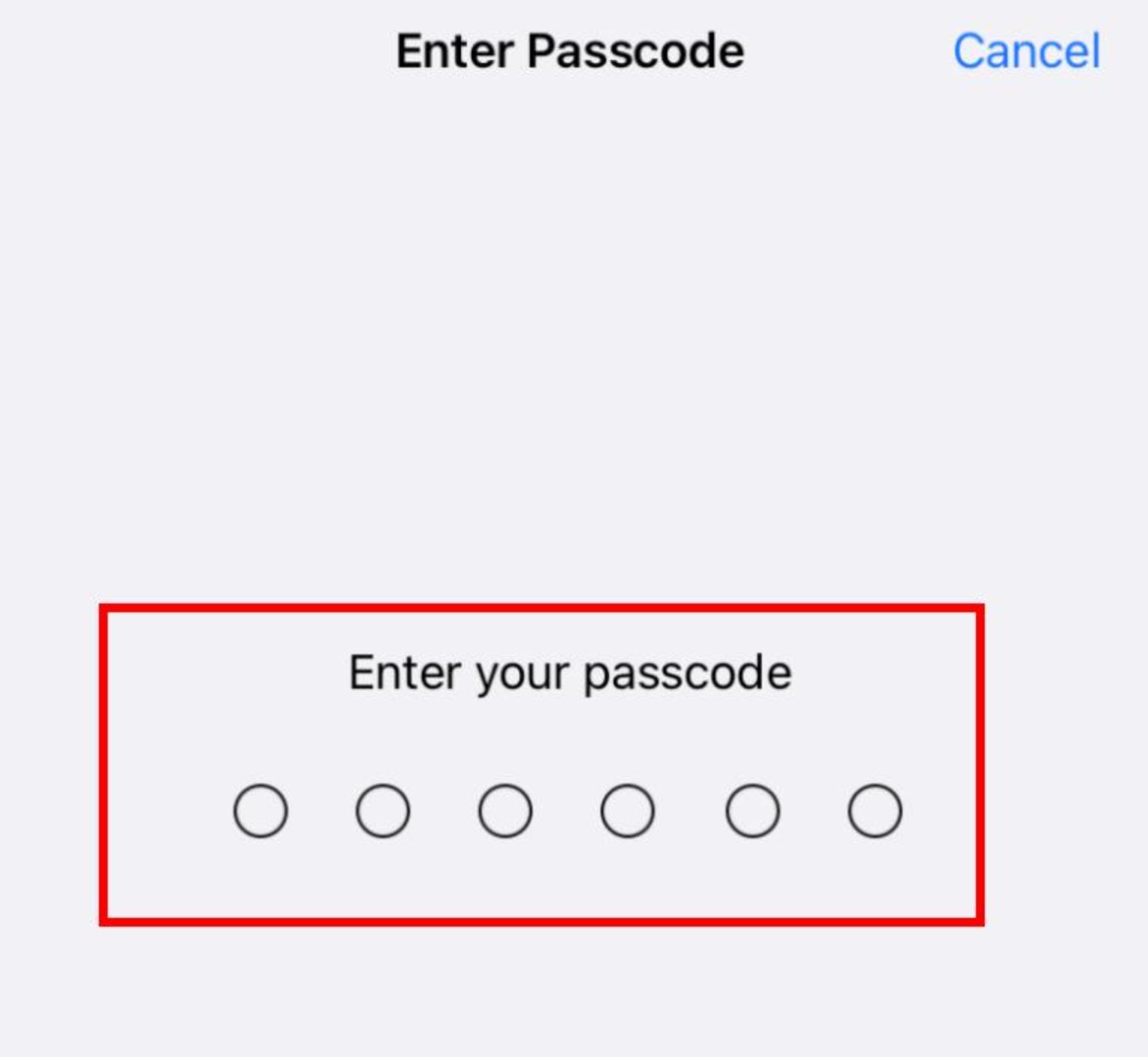 Enter your iOS passcode